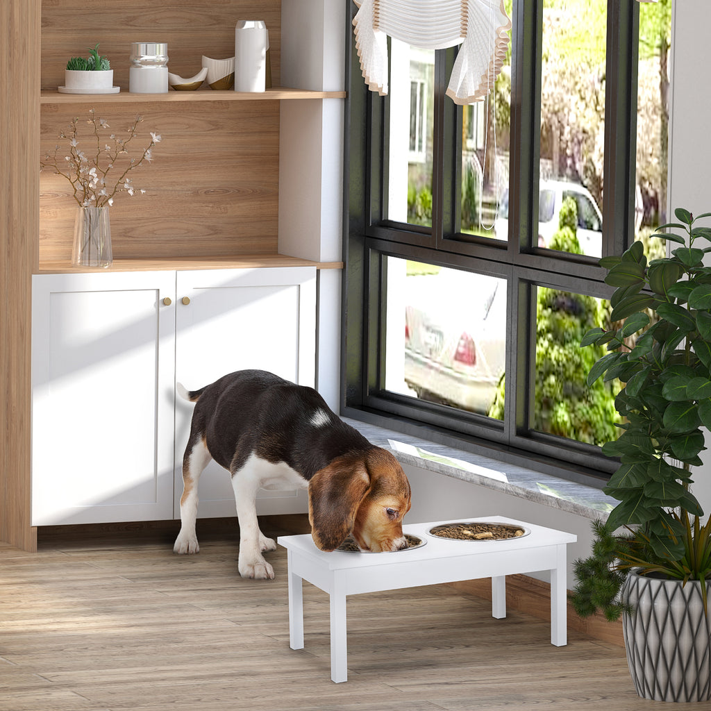 PawLuma Elevated Feeding Station